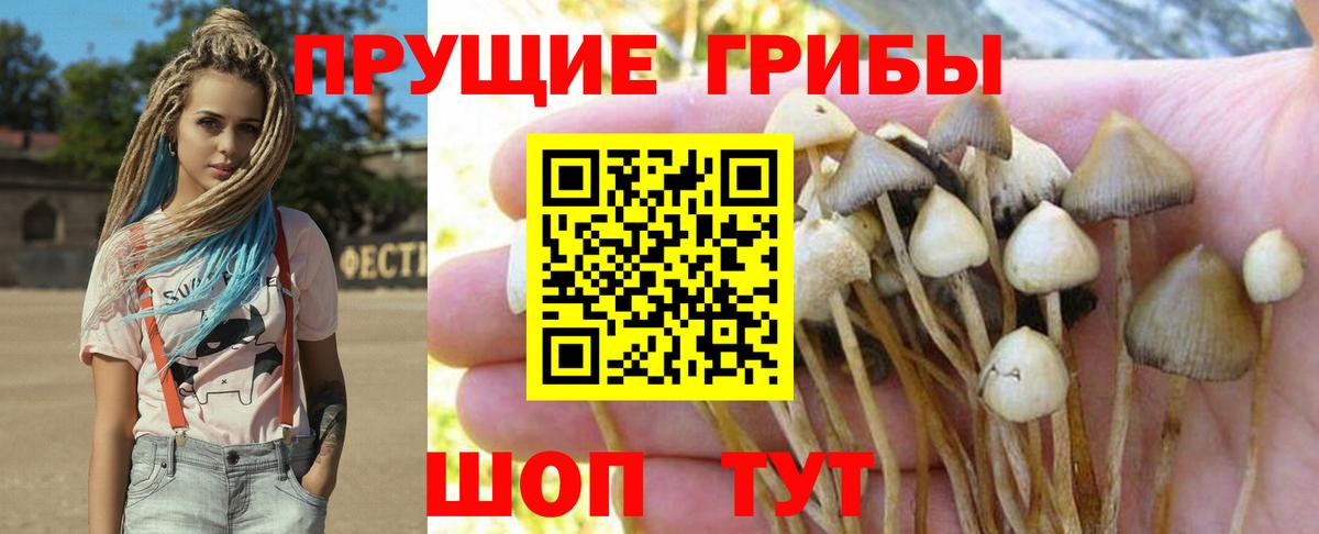 Галлюциногенные грибы мицелий  Вход с VPN  Дятьково  Псилоцибиновые грибы Cubensis 